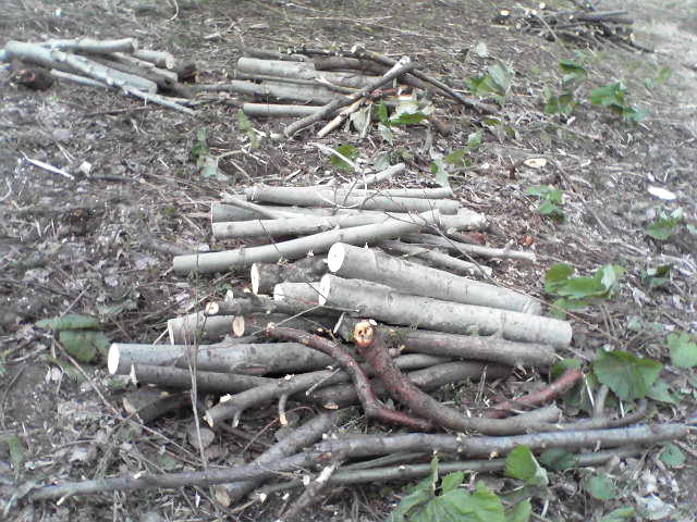 a0007388_10184640.jpg