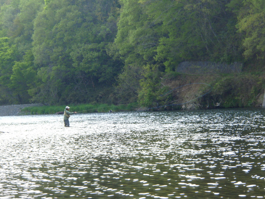 d0127888_23561585.jpg
