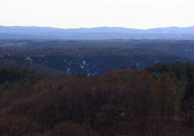 c0118496_20252626.jpg