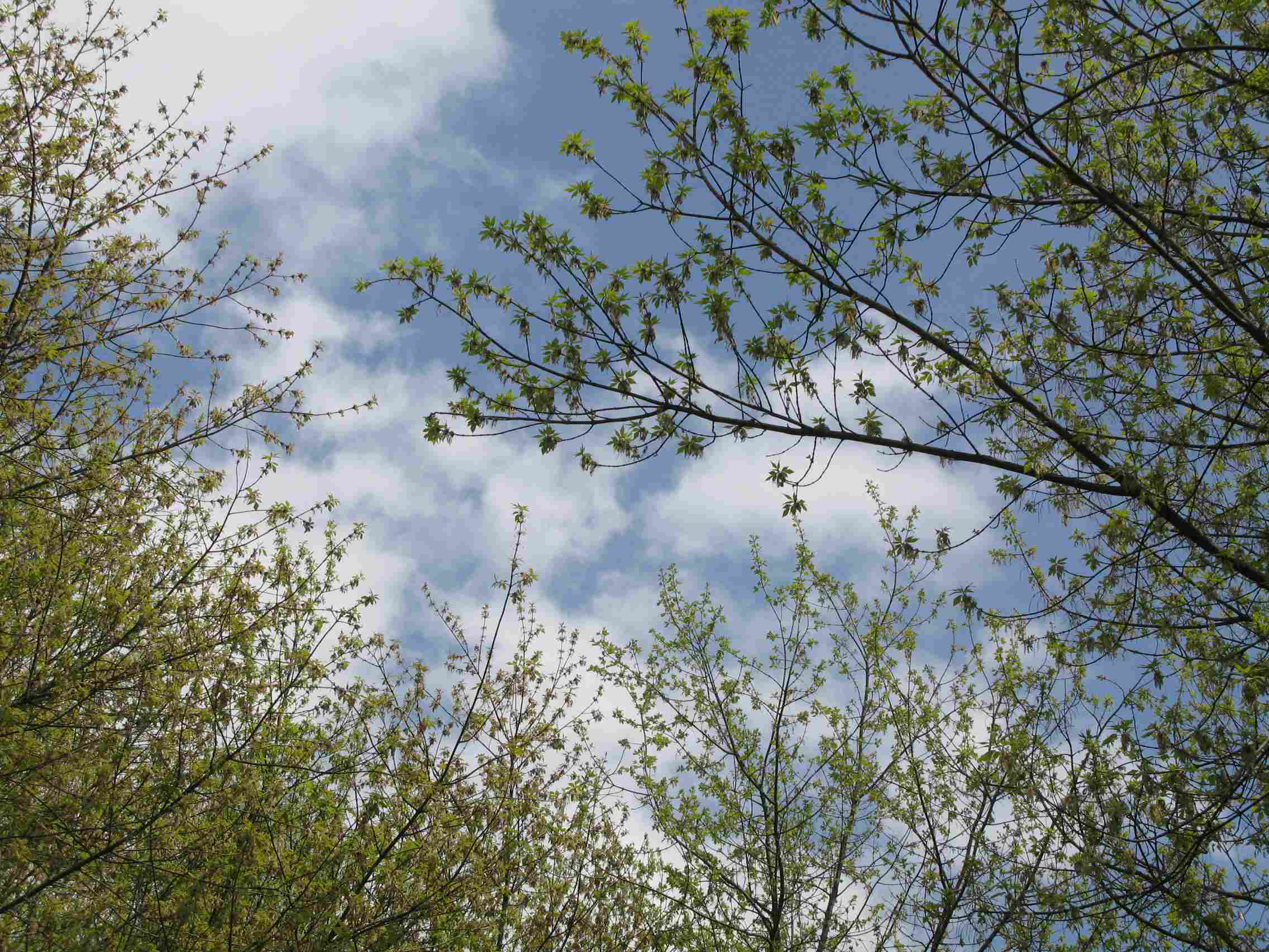 f0129897_5203714.jpg