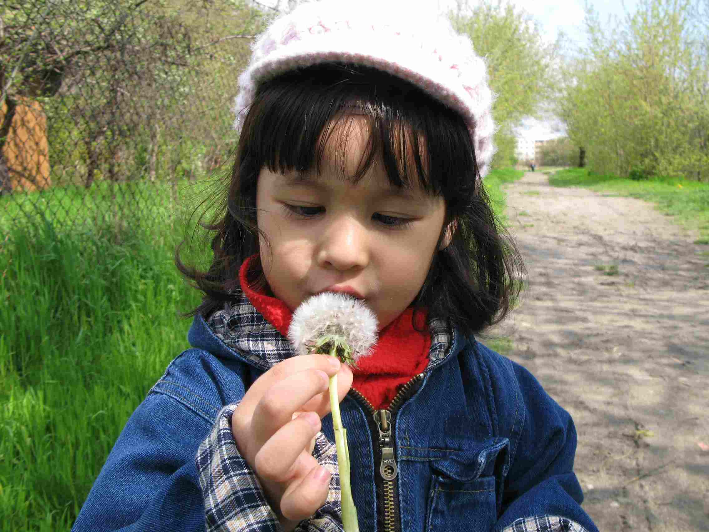 f0129897_7573177.jpg