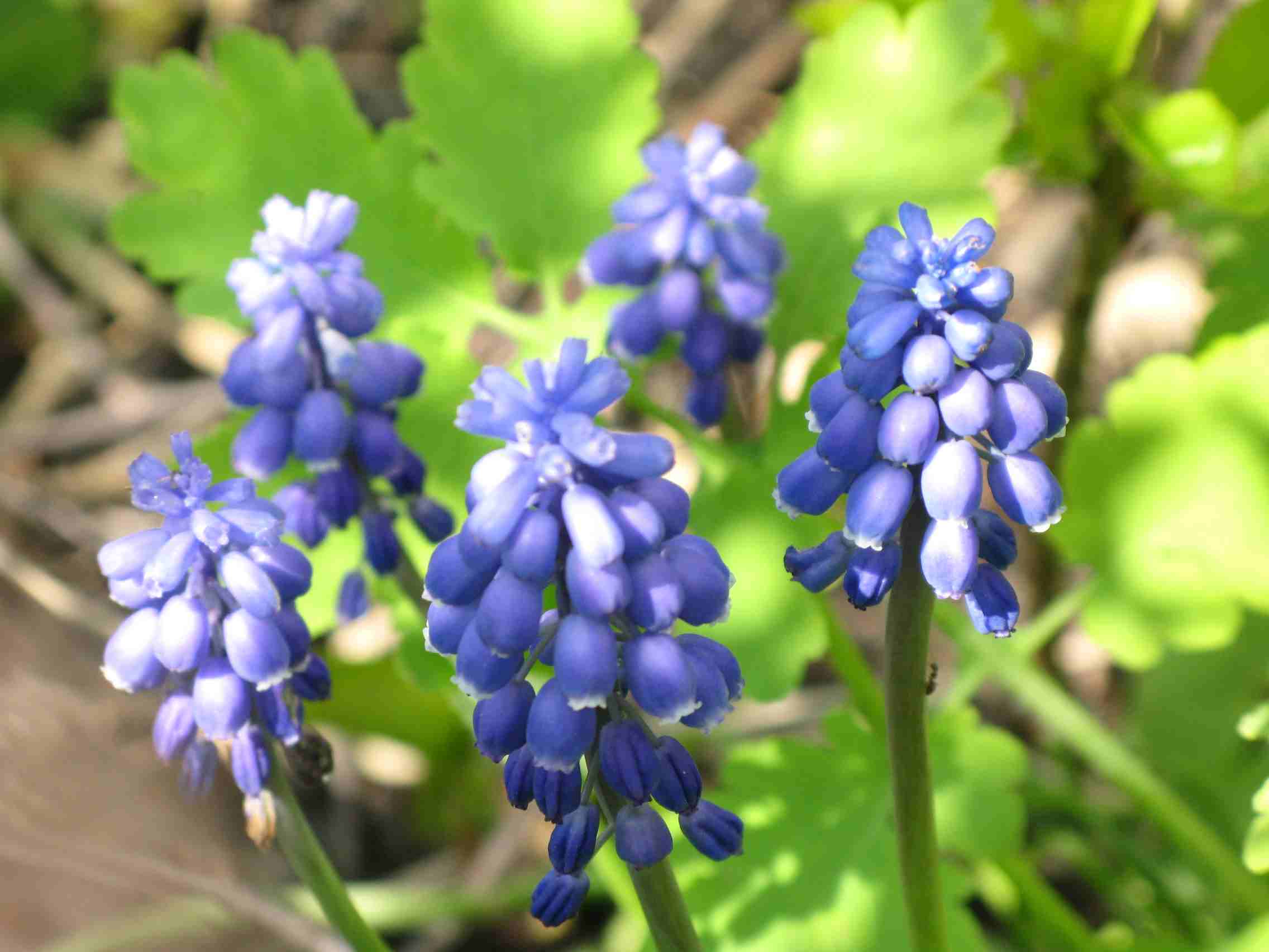 f0129897_9112182.jpg