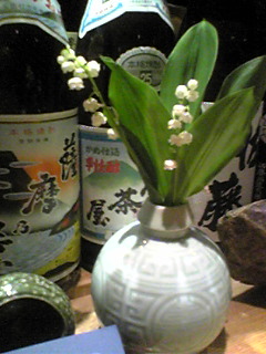 a0023500_1849641.jpg