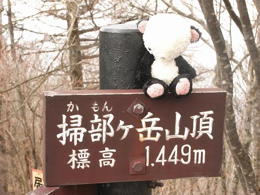 b0116703_326171.jpg