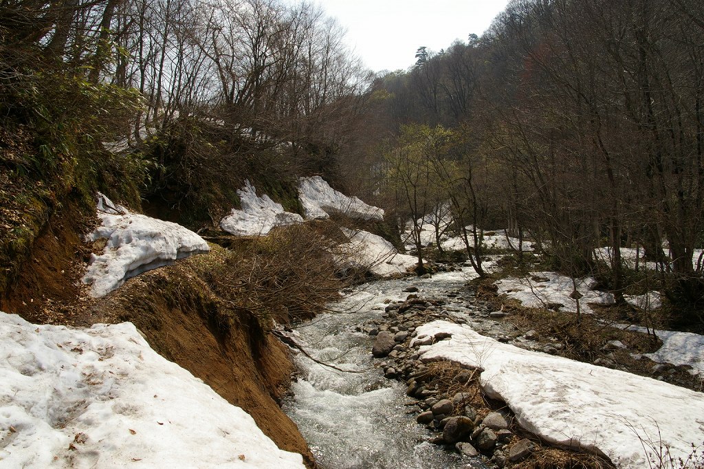 b0050305_21352778.jpg