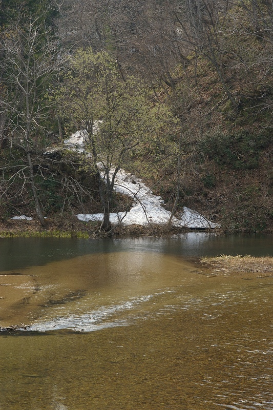 b0050305_2135349.jpg