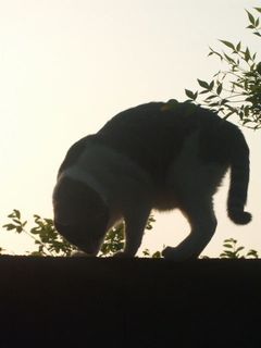 c0103205_21215430.jpg