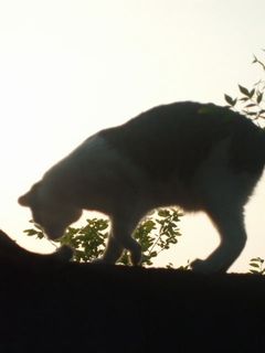 c0103205_21221923.jpg