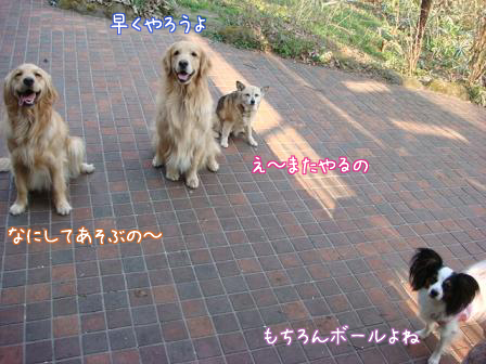 f0064906_173530100.jpg
