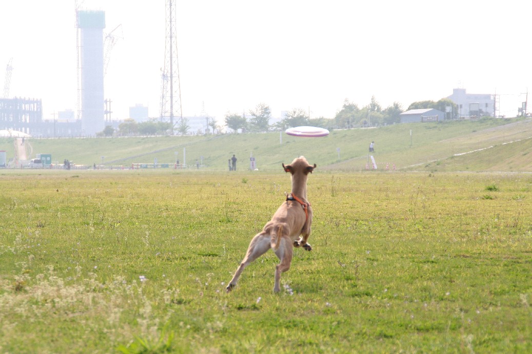 b0118209_939071.jpg