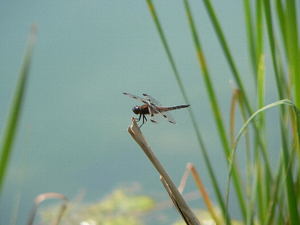 e0002314_18262421.jpg