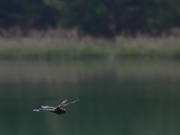 e0002314_18272758.jpg