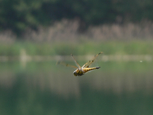 e0002314_18274059.jpg