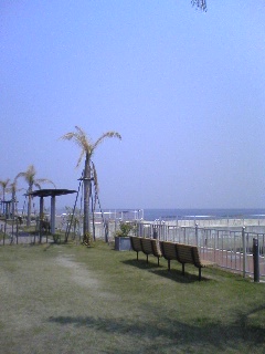 c0140616_10592648.jpg