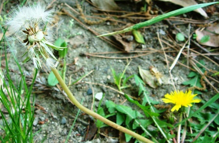 d0137326_23325498.jpg