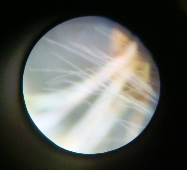d0137326_2333254.jpg