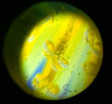 d0137326_2333950.jpg
