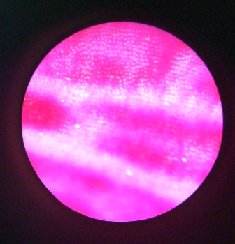 d0137326_23344293.jpg