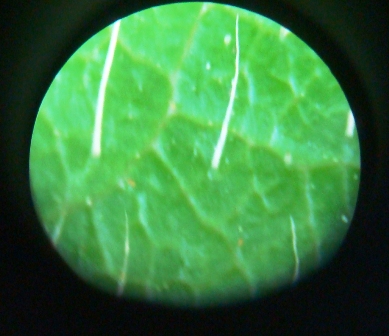 d0137326_2334448.jpg