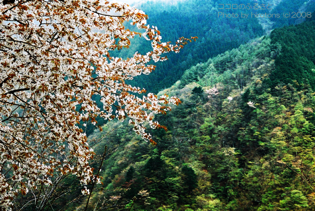 e0016732_0435964.jpg