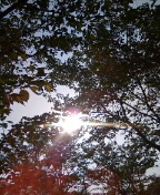 c0100534_9112968.jpg