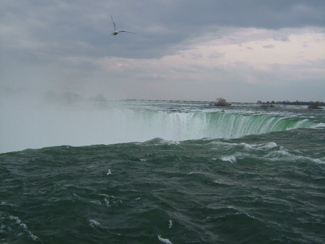 f0131834_10365099.jpg