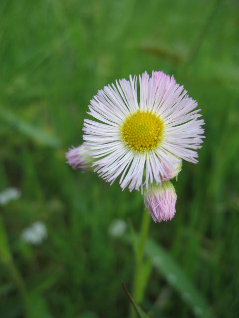 b0088037_811697.jpg