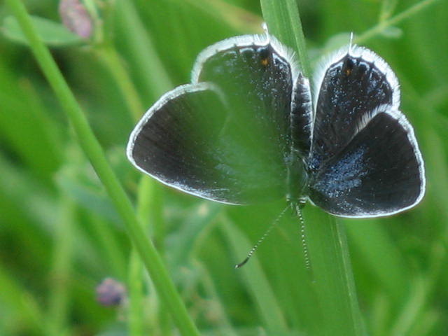 b0088037_863465.jpg