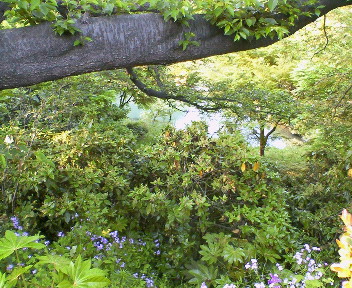 f0073848_21333490.jpg