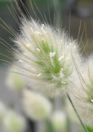 d0013149_2181188.jpg