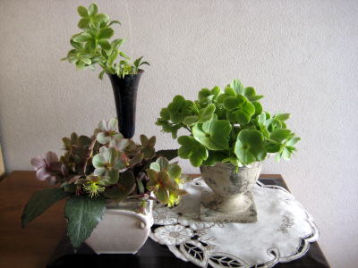 c0147952_20464271.jpg