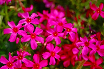 c0133653_23565159.jpg