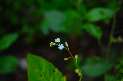 c0133653_2357773.jpg