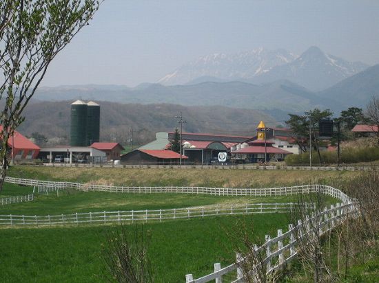 d0031853_3155294.jpg