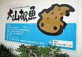 d0031853_3305335.jpg