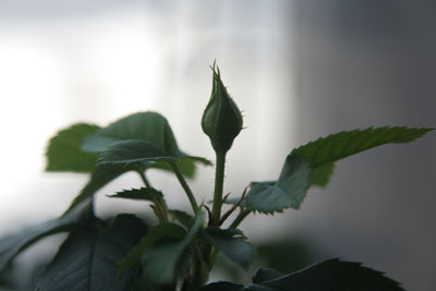 b0132755_014563.jpg
