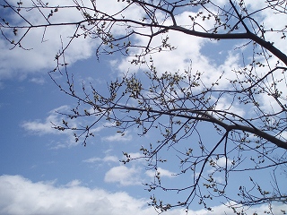 e0004756_21124286.jpg