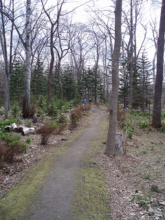 e0004756_21341536.jpg