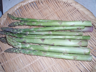 e0004756_22104350.jpg