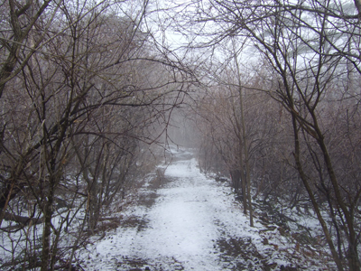 b0045357_14502946.jpg