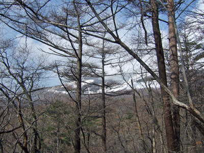 b0045357_14511290.jpg