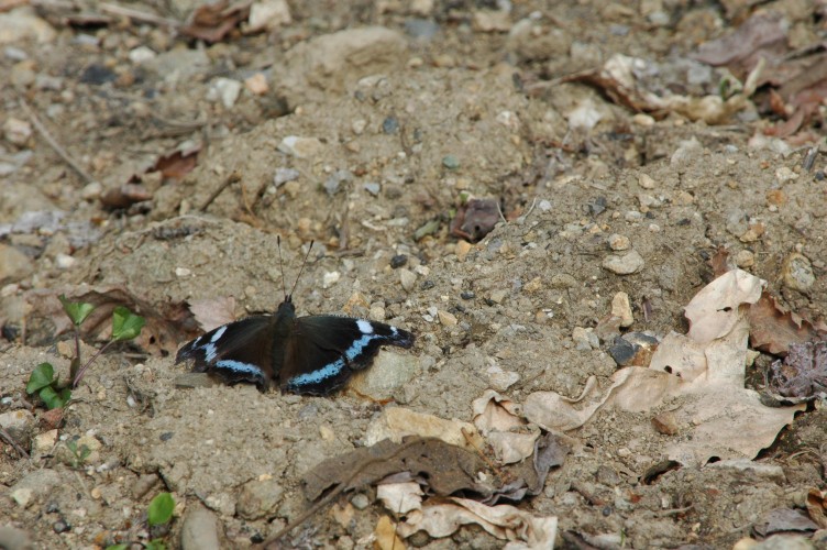 d0098057_1985816.jpg