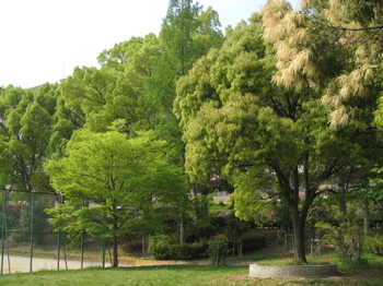 c0153259_011223.jpg
