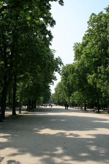 f0077159_1533387.jpg