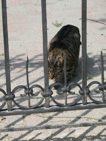 f0077159_231052.jpg