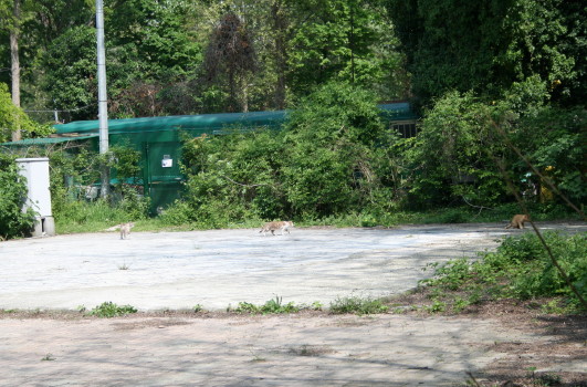 f0077159_283437.jpg
