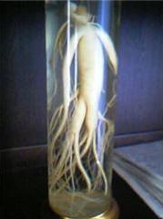 f0140460_22344111.jpg