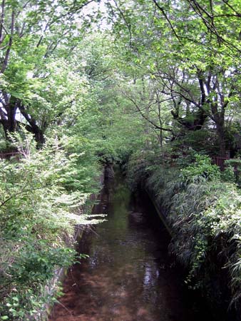 b0134364_1593461.jpg