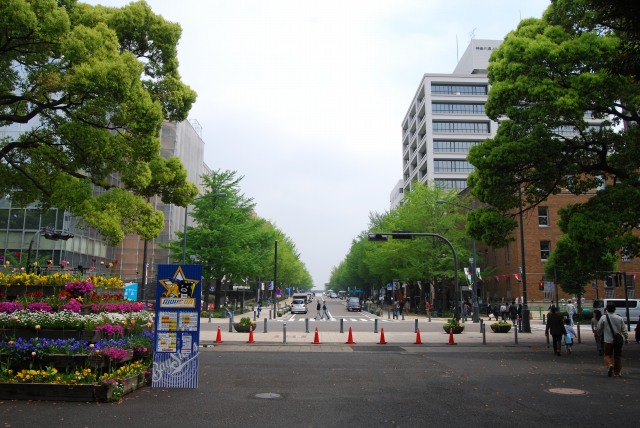 e0078069_8131882.jpg