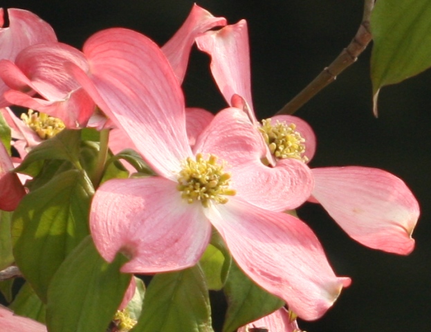 f0088569_9162580.jpg